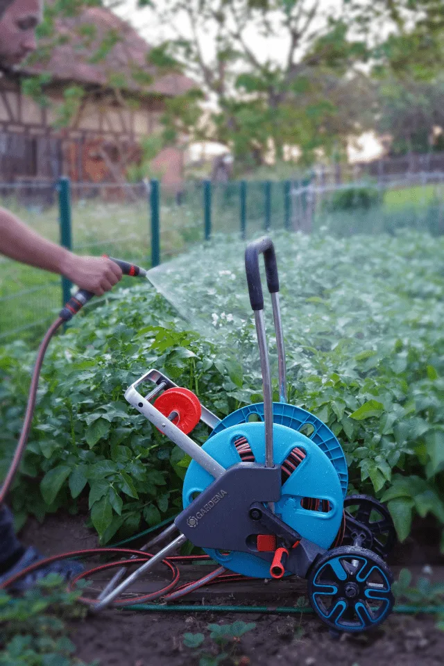 Gartenbewässerung mit Schlauchwagen vor einem Fachwerkhaus.